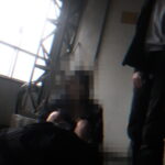 BWD-3379